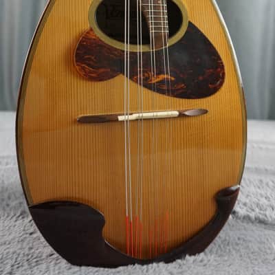 Venezia M-30 Hand Crafted Mandolin image 1