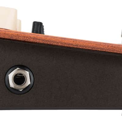 L.R. Baggs - Align Equalizer Pedal image 5