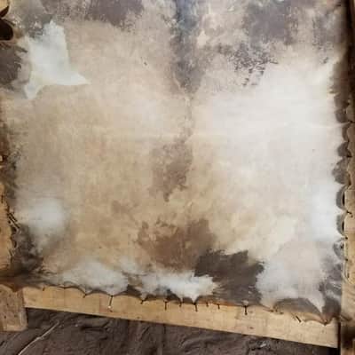 16 Inch Natural Goat Skin Drum Head | Raw Uncut for Djembe Dholak Conga image 2