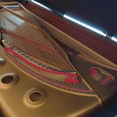 Steinway & Sons grand piano a queue de concert model Model D-274 n°447110 1976 image 2