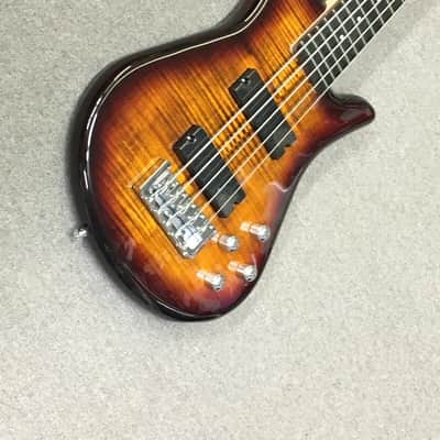 Spector Legend 5 Standard image 6