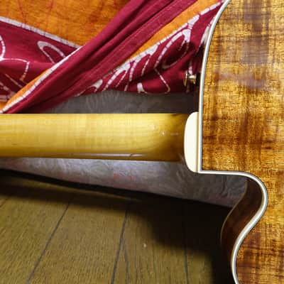 【Final Price!】 2023 Sadowsky Jim Hall Koa Limited image 11