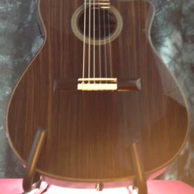 Cordoba Fusion 14 Rose w/ Solid Rosewood Top - Fishman Presys Preamp - Tuner & Premium Gigbag #25295 image 2