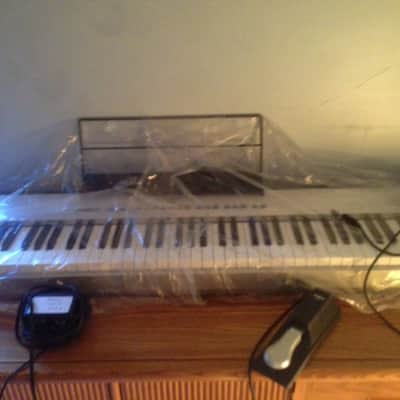 Kawai ES-X 2001 Silver *AS IS* image 5