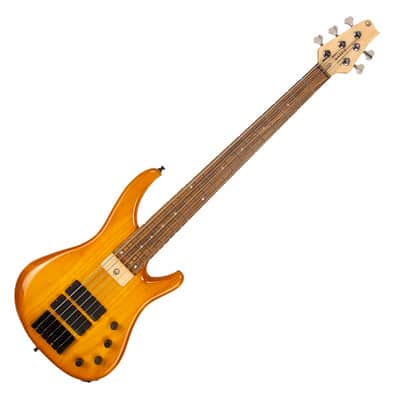 G.Gould GGi5 SST Hybrid Graphite/Maple Composite neck - Alder body - Amber finish - Pao Ferro Fretboard - 8.6 pounds - #1513 image 7
