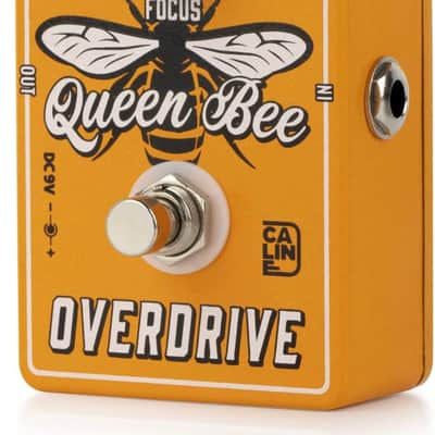 Caline CP503 Queen Bee Overdrive Guitar & Bass Effects Pedal (CP-503) image 2