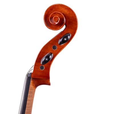 Goffriller Cello 4/4 from One Piece Back - Hand-Made in Romania 2025 #99 image 10