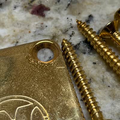 Hondo Neck Plate & Screws - Gold image 3