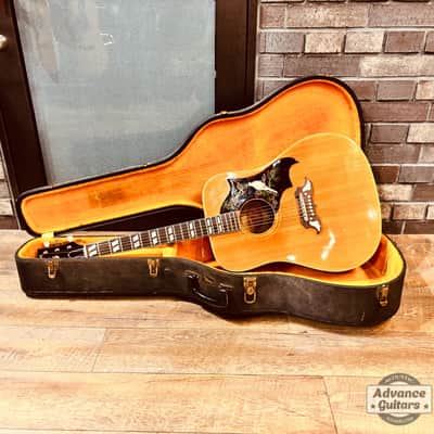 Gibson 1963 DOVE [Shipping Free〜8/31] image 6