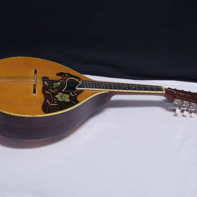 Vintage Dofra ? Western Germany bowl back Mandolin with Hard Case image 3