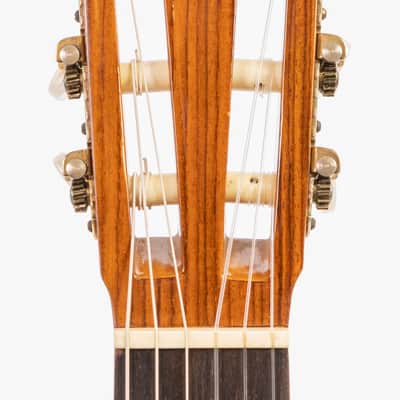 Daion GC 20 (Yamaki Built) image 8