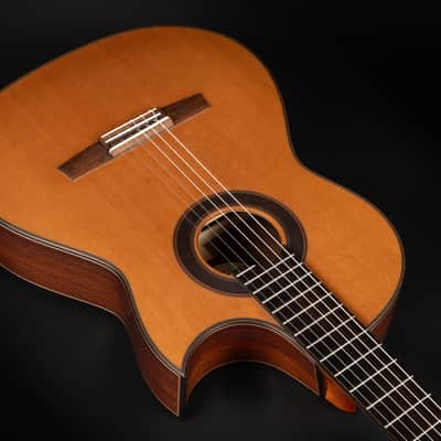 2018 Hanika Fusion PC - Natural | Made in Germany Professional Line Masterbuilt Classical Guitar Cedar Rosewood 50mm Nut Cutaway | CoA OHSC image 8