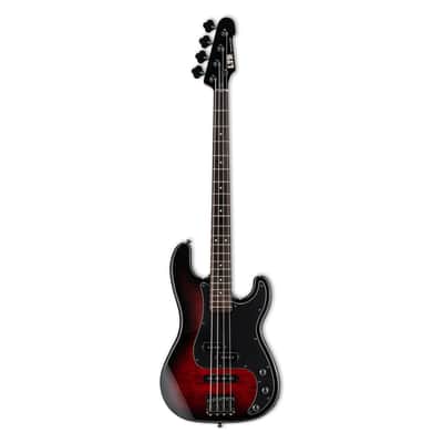 ESP LTD Surveyor-204DX