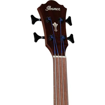 Ibanez AEGB34FE Acoustic-Electric Bass Guitar, Mahogany SB Hi Gloss image 6
