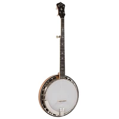 Recording King Madison Tone Ring Banjo image 2