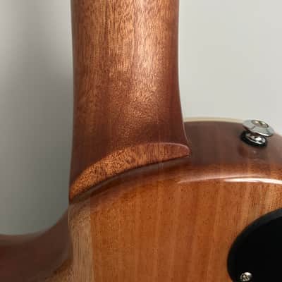 PRS SE Zach Myers 2021 - Myers Blue - MINT CONDITION image 9