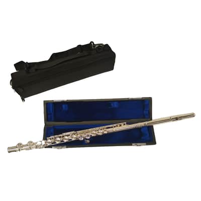 Schiller 300 Series Closed Hole W/Sterling Silver Lip Plate image 2