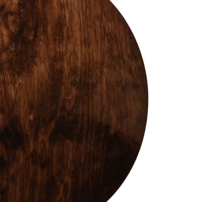 Gold Tone BG-150F: Bluegrass Banjo with Flange and Bag image 19