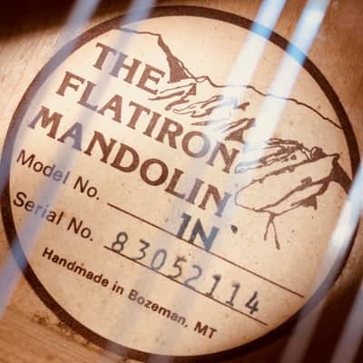 The Flatiron Mandolin 1N Made in USA Mandolin w/Case image 5