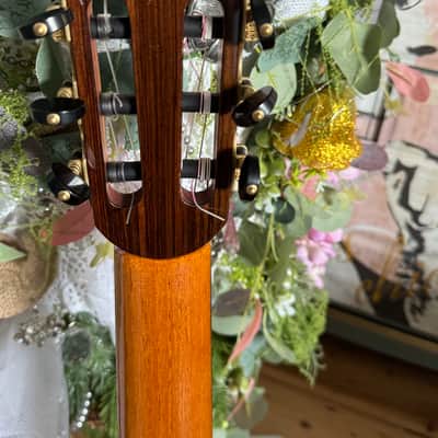 Steven R Toon  2024 - Cedar Nomex Double Top Classical Guitar  - Stunning (Very Hard to aquire 1.5 year lead time ) image 5