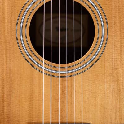 Taylor 214ce-N Nylon Grand Auditorium Acoustic/Electric Guitar with Gig Bag - Factory Demo image 9