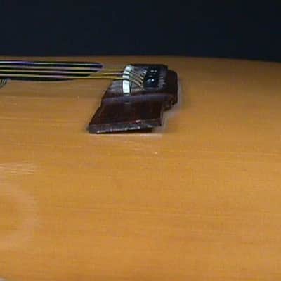 A Vintage Washburn Model 10I Flat Top Guitar in it's Original Case as-is 11 G image 7