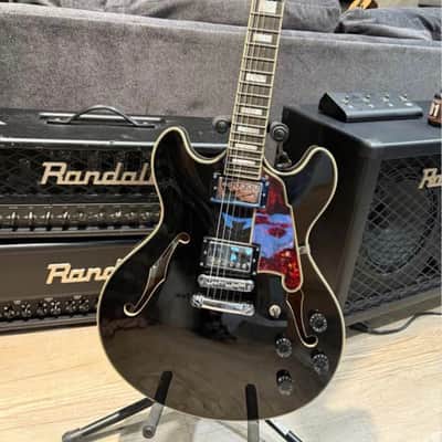 D'Angelico Premier DC Semi-Hollow Double Cutaway with Stop-Bar Tailpiece, Pau Ferro Fretboard 2023 - Present Black Flake image 1