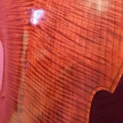 KC Strings 7/8 Hybrid Upright Bass image 2