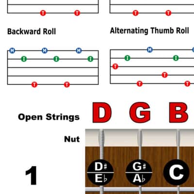 5 String Banjo Fretboard Notes Poster & Chord Chart  G Tuning 11x17 Beginner Easy Learn Book image 3