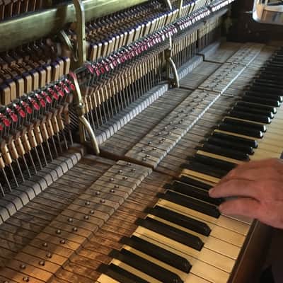 Steinway K 1903 Vertegrand image 12