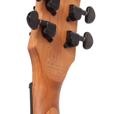 Schecter Solo-II Standard image 8