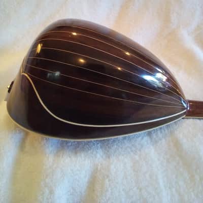 Washburn Model 130 1895-1900 - Gloss image 11