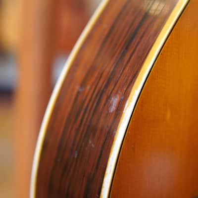 Washburn (Lyon & Healy, Chicago) Style 5281 A-Style Oval Hole Mandolin 1928 w/Hard Case image 10