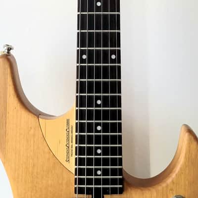 Rare Washburn N3 Nuno Bettencourt Model Natural FR | Reverb