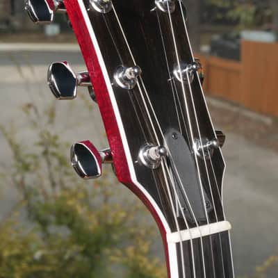 Taylor T5-S Standard Spruce | 2005-2013 | Red Edgeburst image 5