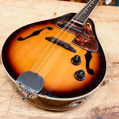 Harmony Electric Acoustic Mandolin image 3