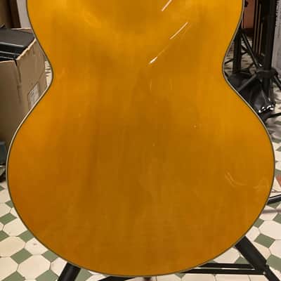 Ibanez PM2 AA Pat Metheny c/astuccio image 5