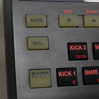 BOSS DR-202 + Universal power supply image 19