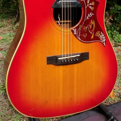 Early 1970’s Canda 212 Hummingbird Model MIJ by Fujigen Gakki image 2
