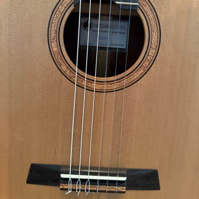 Giussani Messala 2025 - Western Red Cedar Indian Rosewood Ebony image 3