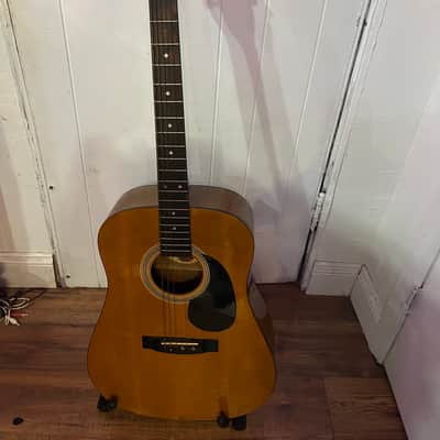 Renata Acoustic Gitarre (Model # 42 248) image 1