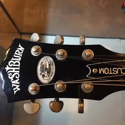 Washburn Custom Shop image 2