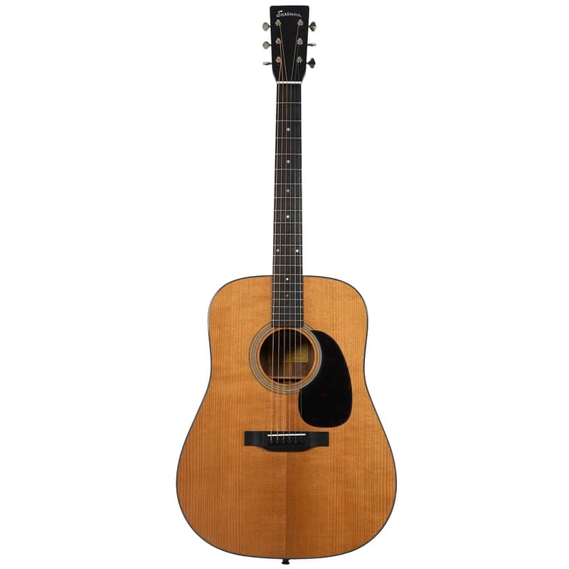 Eastman E10D-TC image 1