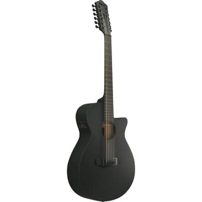 Ibanez AEG1221-BOT 12-String - 12 String Acoustic Guitar image 3
