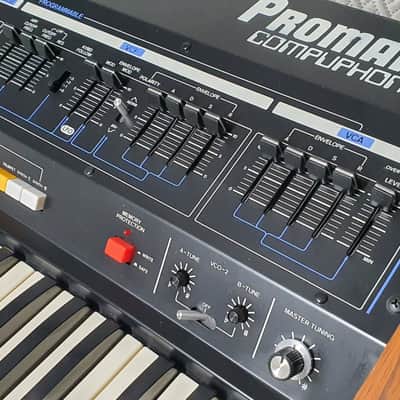 Roland MRS-2 ProMars ✅ Ultra-Rare 70s Monophonic Titan ✅ The Legendary Dual-VCO Promars ✅ Fully Checked & Cleaned ✅ Raw & Screaming Analog Power ✅ Worldwide Shipping image 11