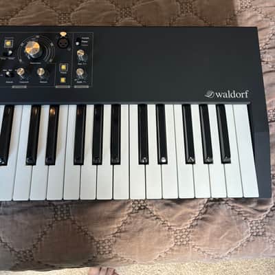 Waldorf STVC String Synthesizer / Vocoder 2018 - Present - Black image 5