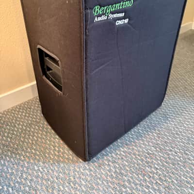 Bergantino CN210 image 2
