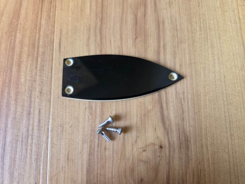 Vintage 1960's Gretsch Guitar Truss Rod Cover w/ Mounting Screws! image 1