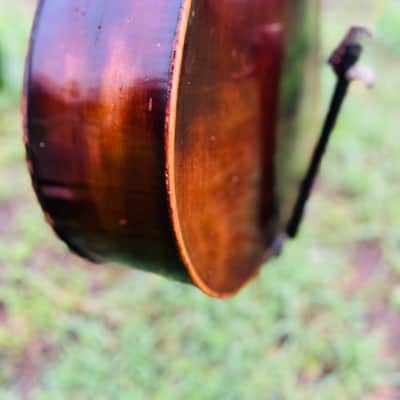 Immagine Giuseppe Petrazzini Cello 1890's Italian Labeled - 15
