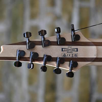 Ibanez RG9PBTGF - Transparent Gray Flat image 7